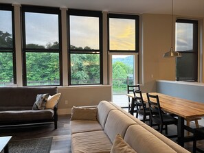 Smart TV, DVD player, books - Riverside Loft with Huge Deck on GAP Trail (Confluence)