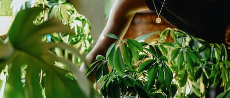 Una persona cuidando diversas plantas en macetas en un espacio interior bien iluminado.