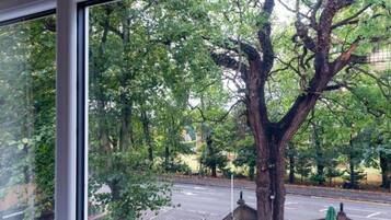 Habitación triple, baño privado | Exterior