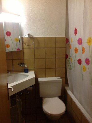 Combined shower/bathtub