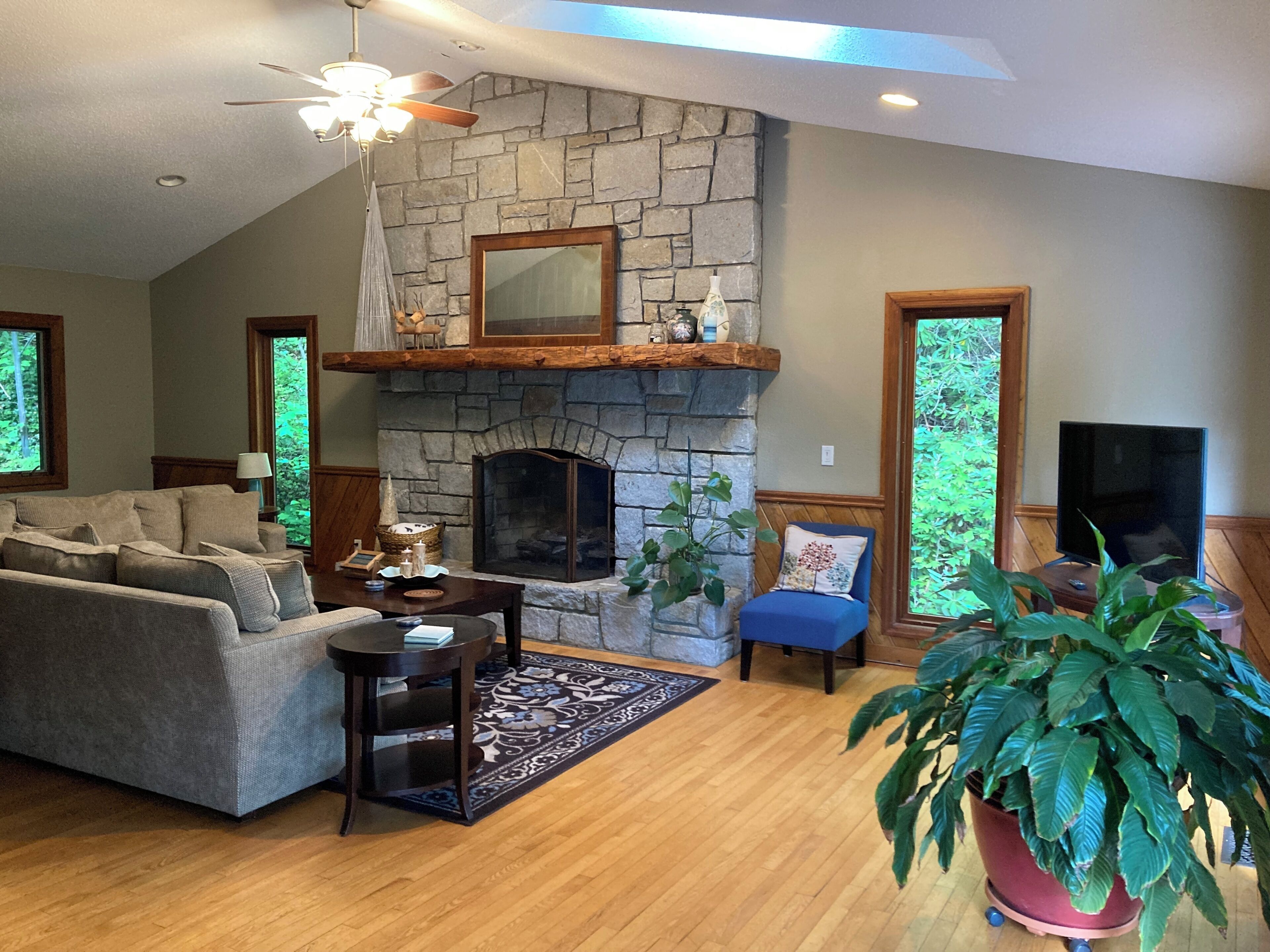 Smart TV, fireplace, books