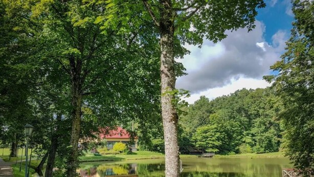 A serene lakeside setting with a house in the background, surrounded by lush greenery and a clear sky.