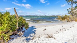 Une plage avec un ciel dégagé, une eau calme et quelques plantes.
