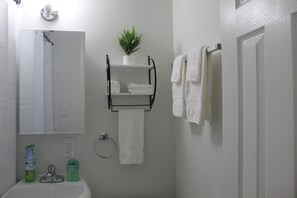 A bathroom with a sink, mirror, towel rack, and a potted plant. - The Oasis in Murray Hill - Centrally Located- sleeps 8-  WiFi-Cozy-Free Parking (Jacksonville)