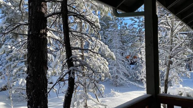 Un paysage enneigé avec des arbres et une terrasse en bois.