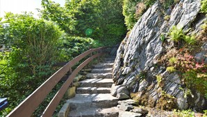 A stone staircase with a wooden handrail, surrounded by lush greenery and a rocky cliff. - Arthur's Seat,  elevated cottage, sea views (Dunoon)