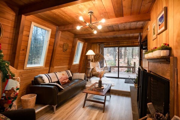 Smart TV, fireplace, books