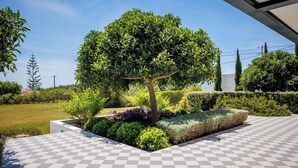 Ein angelegter Garten mit einem großen Baum, ordentlich geschnittenen Hecken und einem Schachbrettmuster-Boden.