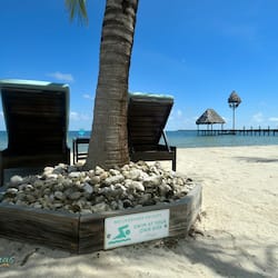 On the beach