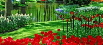 Atmospheric bungalow with fireplace near the sea, beach, dunes and forest