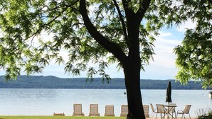 A lakeside view with a large tree, a grassy area, and a row of wooden chairs and a table under a shaded area.
