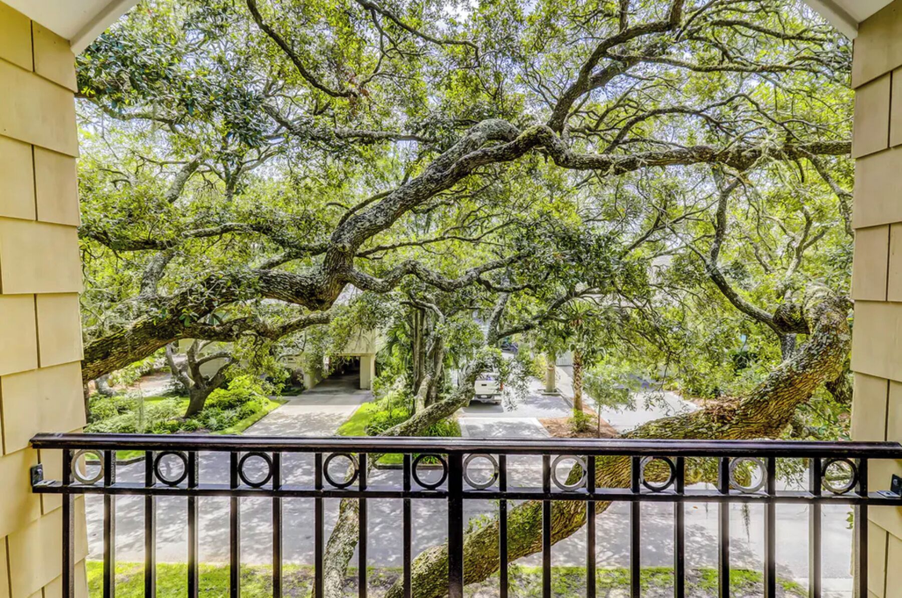 A covered outdoor area with a pathway surrounded by trees.