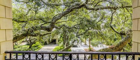 A covered outdoor area with a pathway surrounded by trees.