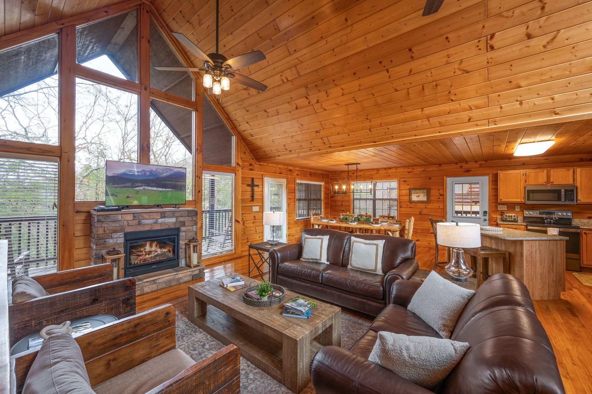 Smart TV, fireplace, video games, DVD player