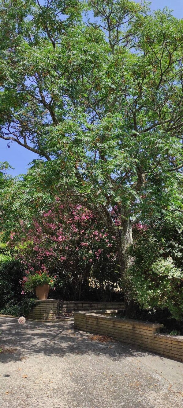 Property grounds - LE TITUS: Quiet & popular place; Swimming pool, scrubland, Provence... (Nîmes)