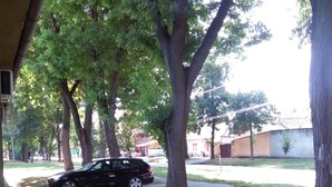 Une voiture noire est garée sur une pelouse, avec des arbres et un bâtiment en arrière-plan.