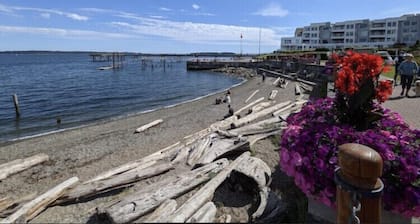 Impeccable Cleanliness Family & Pet Friendly Large Deck House Near YYJ & Ferry