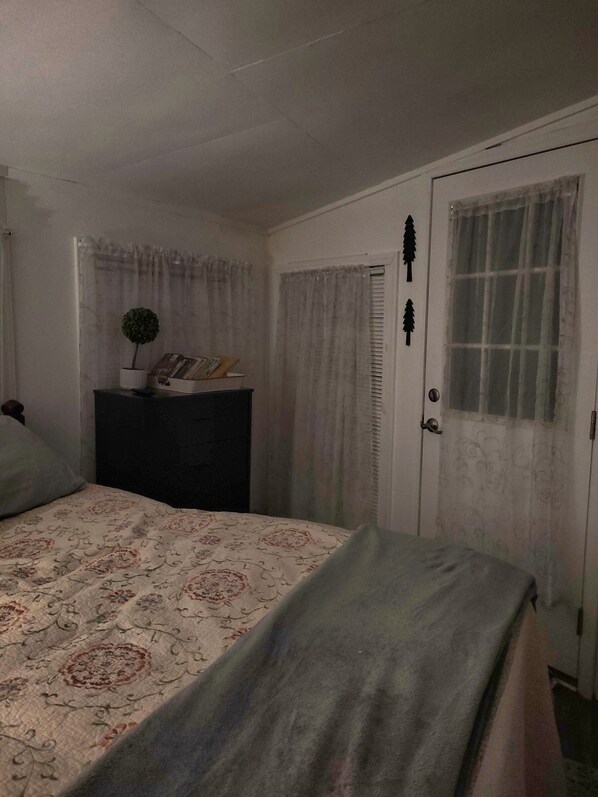 A bedroom with a bed, a dresser, a door with a window, and a small potted plant.