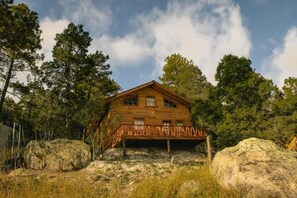 Egyptian cotton sheets, premium bedding, down comforters