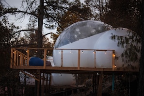 Basic Cabin