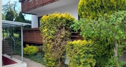 Sourterrain Wohnung in Bensheim