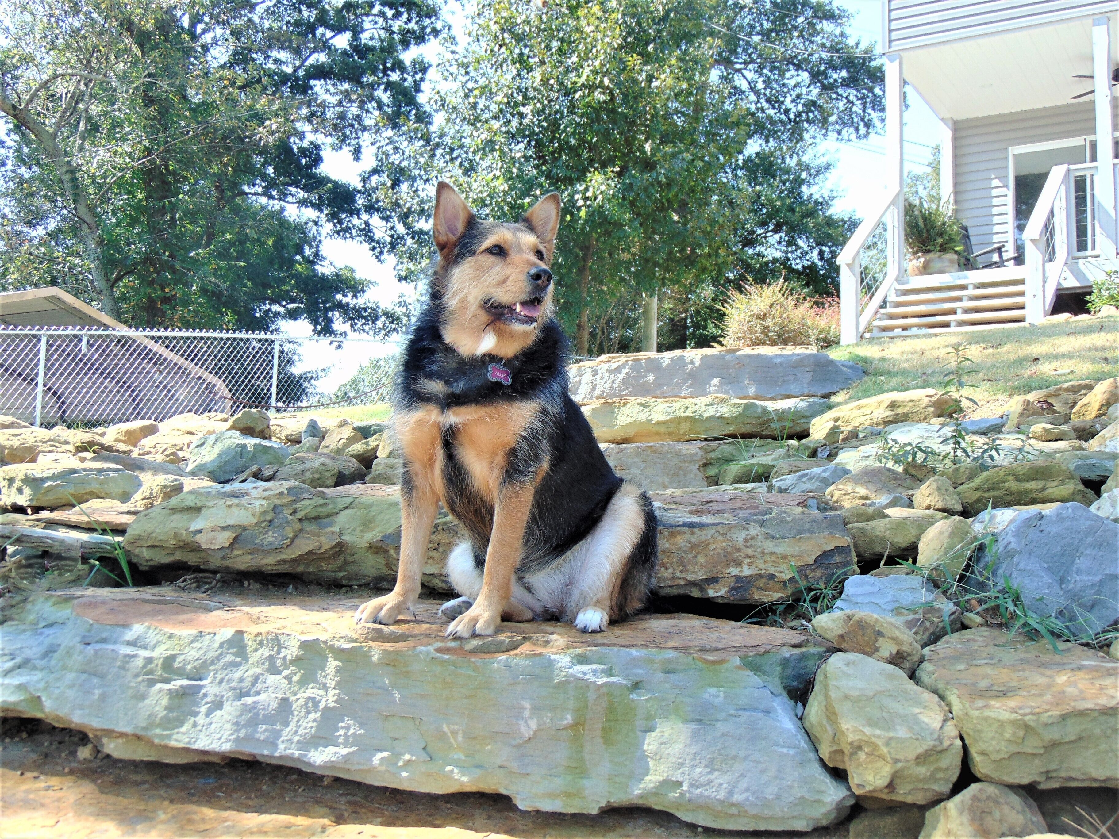 Áreas de la propiedad