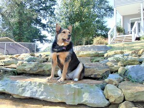 المنطقة المحيطة بالمنشأة