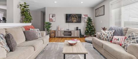 Fernseher, Kamin, Bücher, Arbeitsbereiche