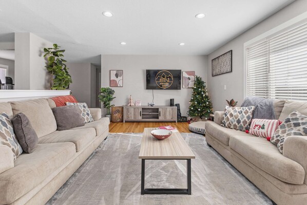 Télévision, cheminée, livres, espaces bureaux