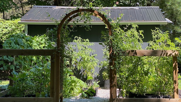 A garden with a wooden arbor and various plants, a green shed in the background, and a gravel path. - The Thistle House off Chardon Square (Chardon)