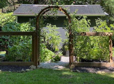 Property grounds. The Thistle House off Chardon Square