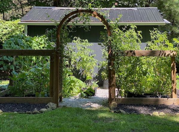 Enceinte de l’hébergement