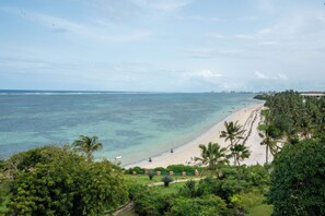 Scuba diving, waterskiing, surfing