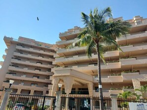 A multi-story hotel with balconies and a palm tree in the foreground.