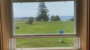 A window with a view of a grassy field, a tree, and a body of water.