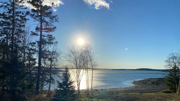 A lakeside view with trees and a clear sky.