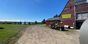 Overnattingsstedets uteområder