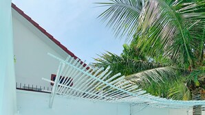 A swimming pool with a white wall and a pergola. There are potted plants and a palm tree.