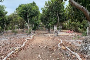 Terrain de l’hébergement