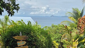 A pathway leading to a scenic view with a signpost indicating directions to 'FISH', 'BLUE', 'TURTLE', 'HIBISCUS', and 'BUTTERFLY'. - BLUE COTTAGE Almost Paradise (Sauteurs)