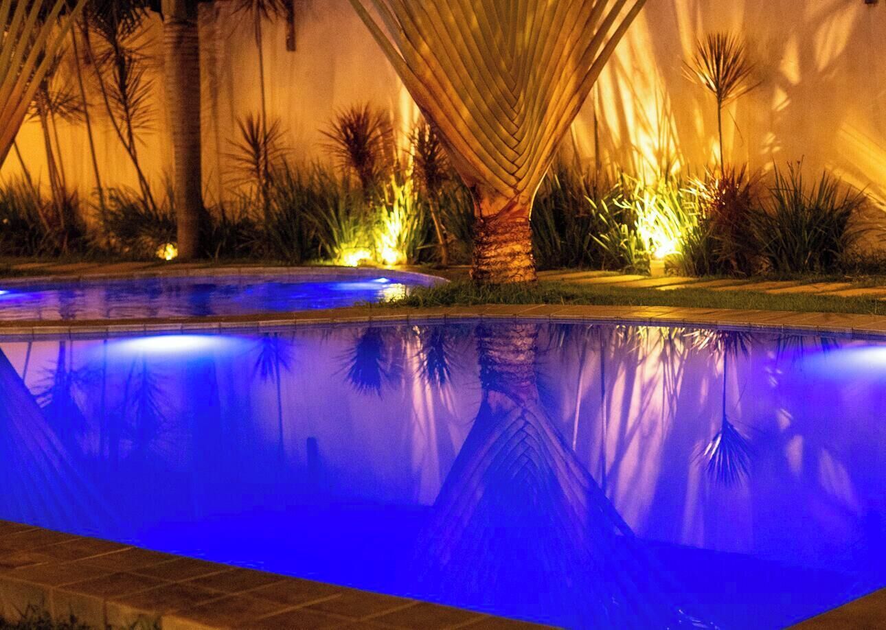 A swimming pool with a blue-lit edge, surrounded by palm trees and plants, reflecting the trees in the water.