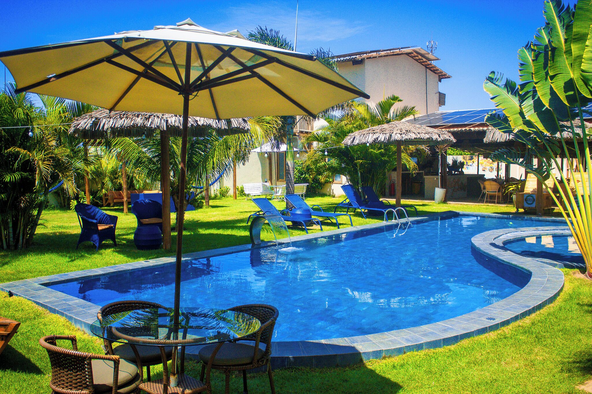 A swimming pool with lounge chairs and umbrellas, surrounded by grass and palm trees.