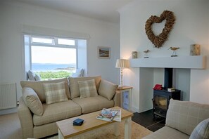 TV, fireplace, DVD player