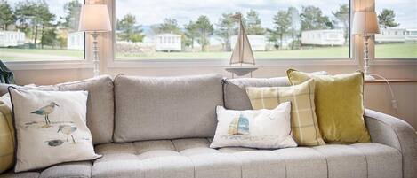 TV, DVD player, books