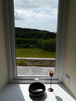 A window with a view of a green landscape, a black bowl, and a glass with a drink on a windowsill.