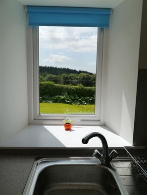 A kitchen with a window, a sink, and a small potted plant on the windowsill.