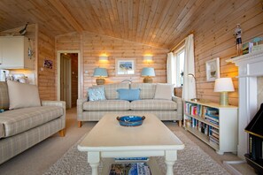 TV, DVD player, books