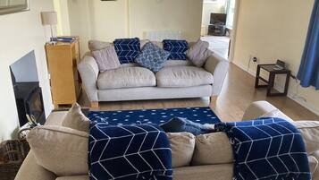 TV, fireplace, DVD player