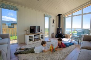 TV, fireplace, DVD player