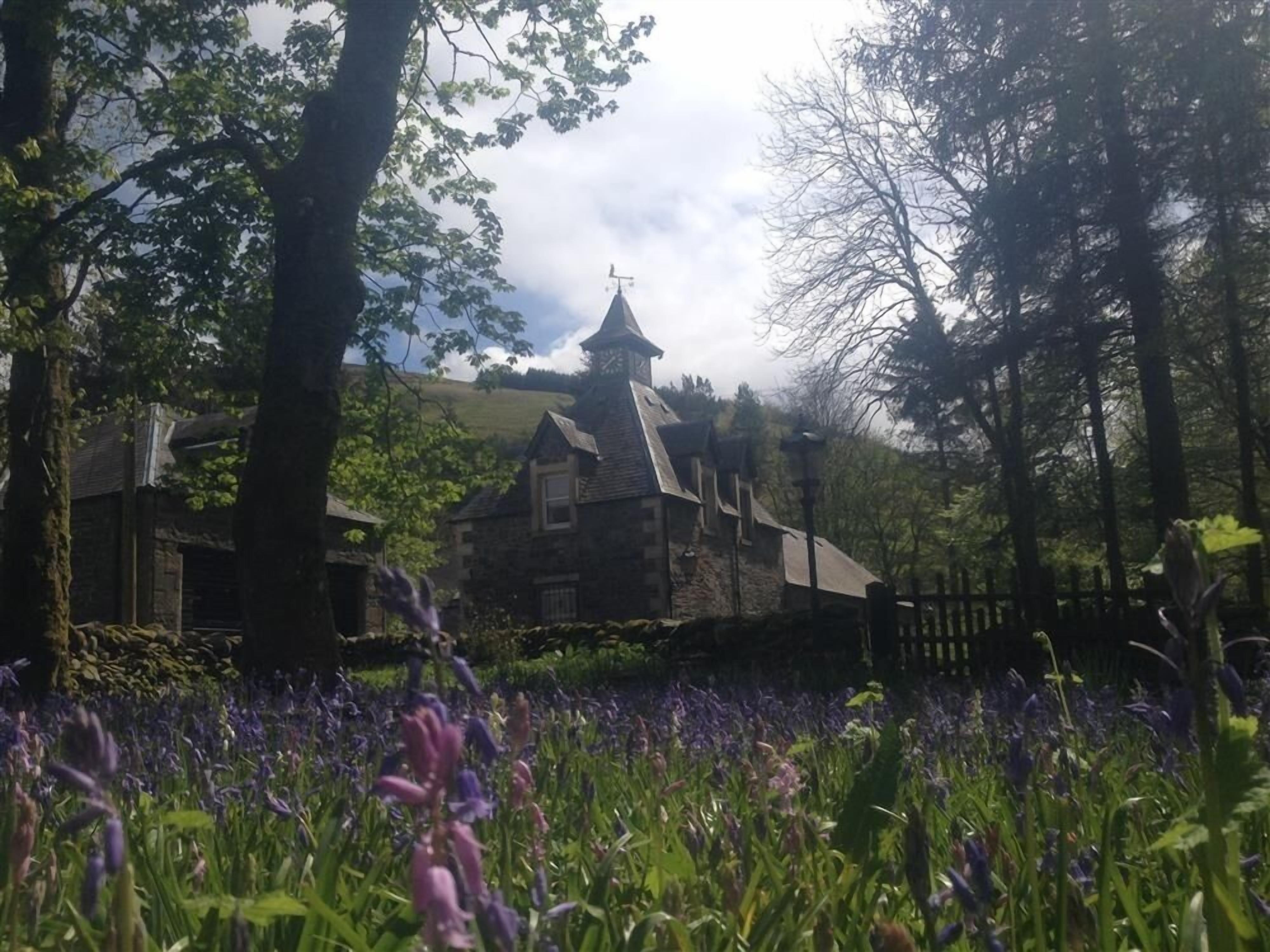 A stone building with a tower, surrounded by trees and a field of purple flowers.